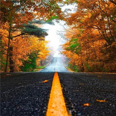 澳门风云电玩城安卓版特色